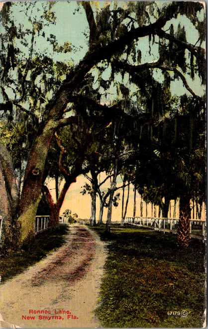 Ronnoc Lane - New Smyrna