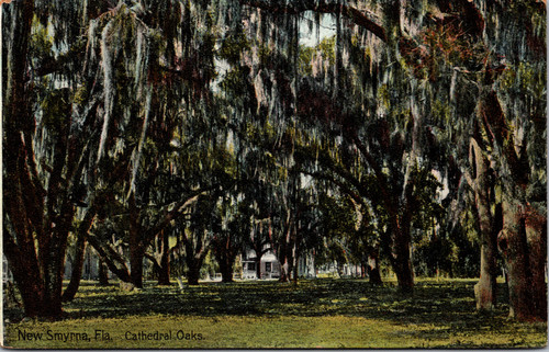 Cathedal Oaks - New Smyrna