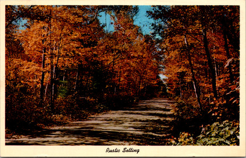 Vintage Curteichcolor postcard showing autumn trees with red and orange leaves along a road in Burlington Flats New York.