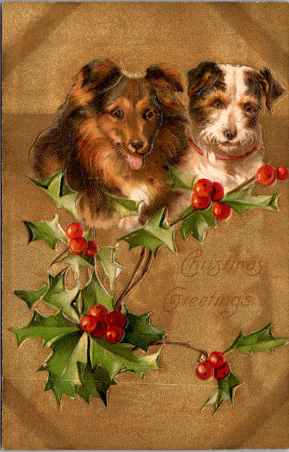 antique Christmas postcard Sheltie dog and terrier dog with holly