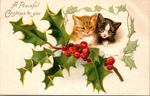 Embossed Christmas postcard with two kittens framed by holly leaves and red berries