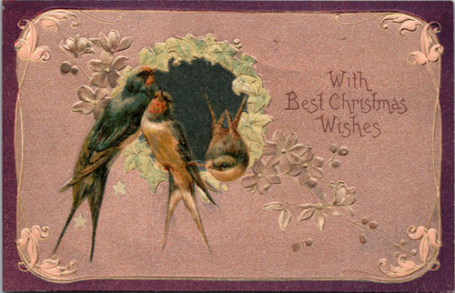 swallows perched among blossoms on antique Christmas postcard