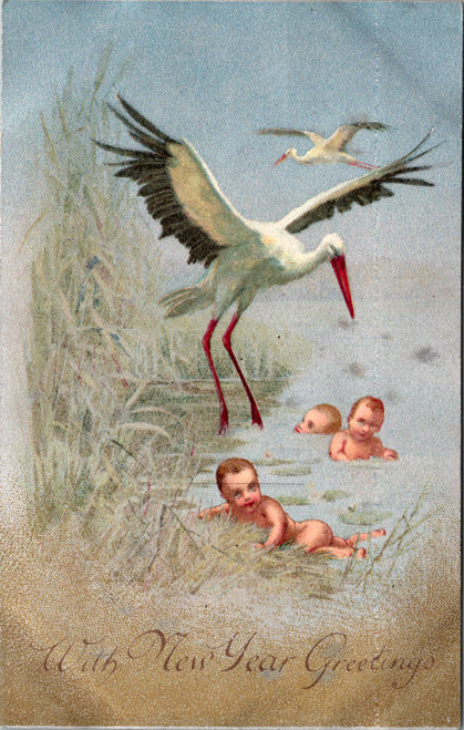 Stork and babies in river