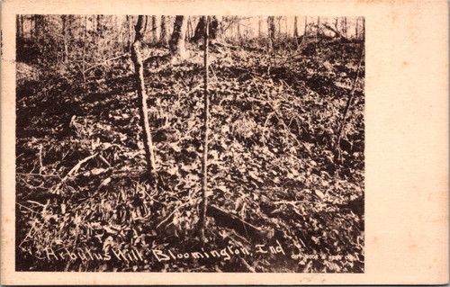Vintage postcard showing wooded hills and forest landscape near Bloomington Indiana