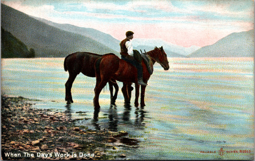 Antique divided back postcard showing man with horses standing in water at end of workday