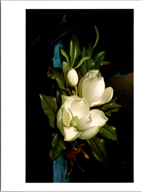 Martin Johnson Heade Giant Magnolias on a Blue Velvet Cloth postcard