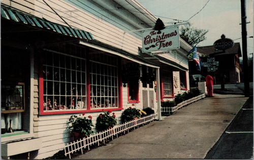 Color postcard of The Christmas Tree gift shop On the Hill Highlands North Carolina Elevation 4118. Postmarked November 8 1985 with USA 22 cent stamp. Normal wear for age.