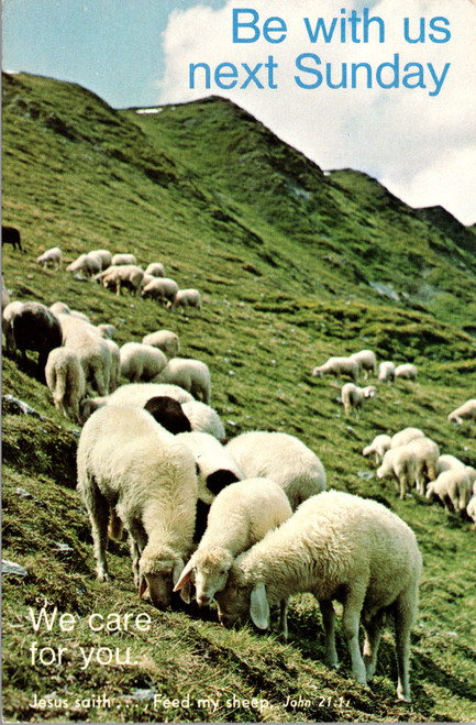 Vintage religious postcard with sheep on hillside and Be with us next Sunday message