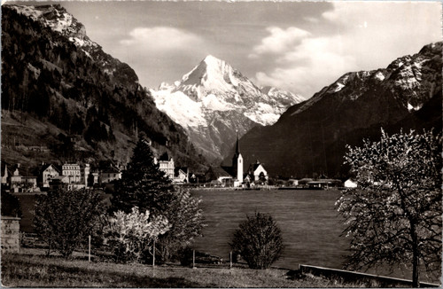 Switzerland Fluelen Lake Lucerne alpine village black and white postcard