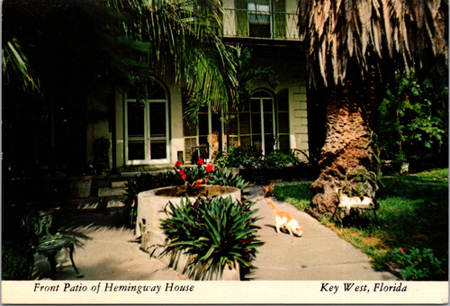 Ernest Hemingway House front patio Key West Florida postcard with Hemingway cats