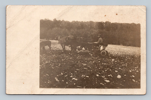 Antique RPPC farmer using horse drawn plow team in field rural scene