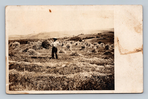 Antique RPPC farmer harvesting hay field with pitchfork rural landscape