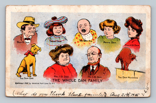 1905 whole dam family comic postcard undivided back humor illustration