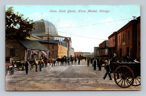 Chicago Union Stock Yards horse market postcard horses wagons street scene