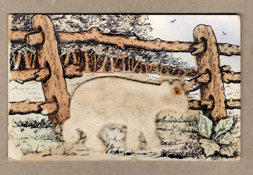 Felt bear glued onto postcard Rose Company