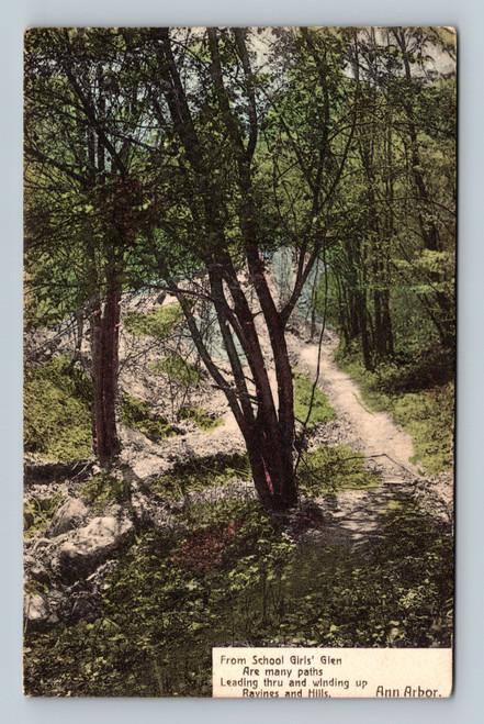 Vintage postcard of School Girls Glen Ann Arbor Michigan showing wooded ravine and winding path. Printed in Germany. Divided back. Postmarked December 3 1915.