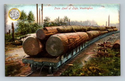 Train load of logs Washington antique logging railroad postcard