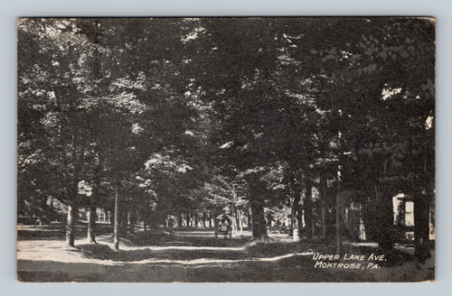 Upper Lake Avenue Montrose PA Antique Postcard by C. T. Marvin