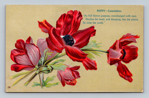 Antique postcard showing poppy flowers with a poetic caption