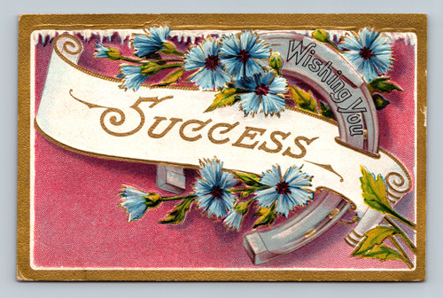 Wishing you success postcard from Stevensville, U.S.