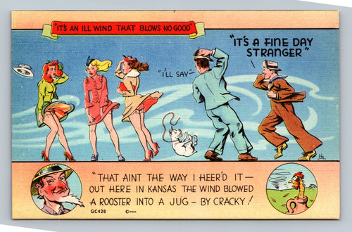 Humorous sayings about wind and weather postcard from Aurora Missouri