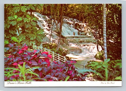 Vintage postcard of Dunn's River Falls amidst lush tropical vegetation near Ocho Rios Jamaica