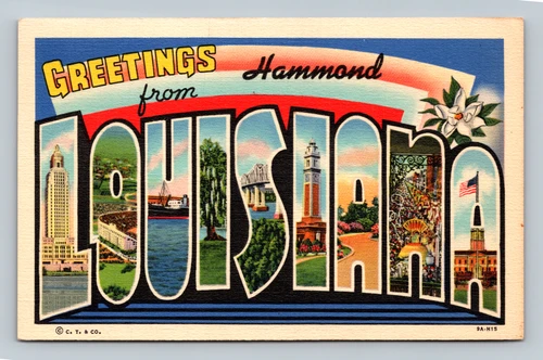Greetings from Hammond vintage postcard by Curteich-Chicago