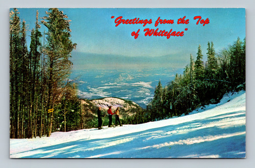 Skiers pausing at the top of Whiteface Mountain before descending the Wilderness Trail