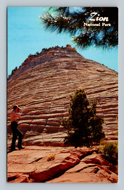 Checkerboard Mesa rock formation near east entrance of Zion National Park Utah