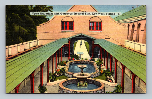 Open Aquarium with Gorgeous Tropical Fish in Key West Florida postcard