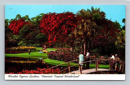 Florida's Cypress Gardens tropical garden with flowers and vines vintage postcard