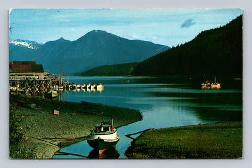 Cannery and Fish Boats in Anchorage Alaska by C. P. Johnston Co.