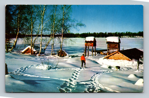 Trapper's camp on frozen Sucker Lake Alaska postcard