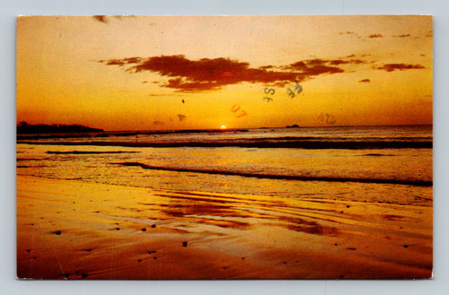 Playas de Tamarindo Beach of Tamarindo Costa Rica vintage postcard