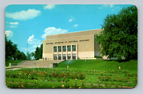 Denver Museum of Natural History building in City Park, Denver, Colorado postcard