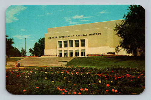 Denver Museum of Natural History building in City Park, Denver, Colorado postcard