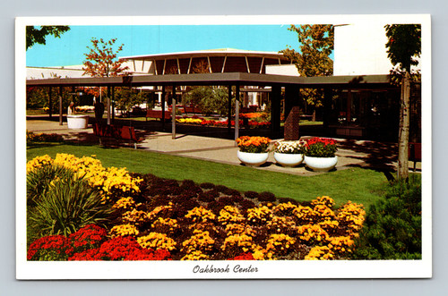 Fall scene with 5,000 chrysanthemums at Oakbrook Center Oak Brook Illinois