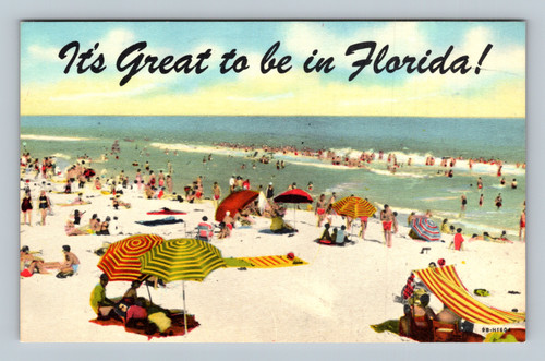 It's Great to be in Florida! vintage postcard by Genuine Curteich-Chicago