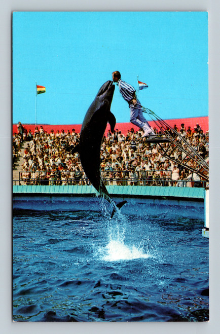 Bubbles the whale high jump at Marineland of the Pacific Rancho Palos Verdes