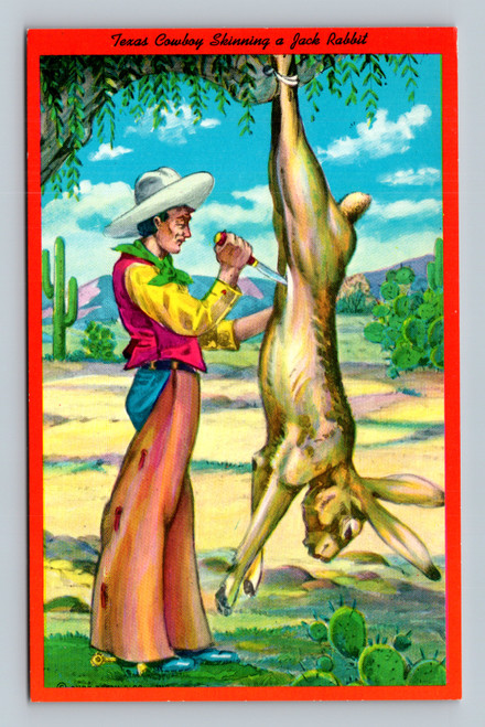 Texas cowboy skinning a jack rabbit postcard