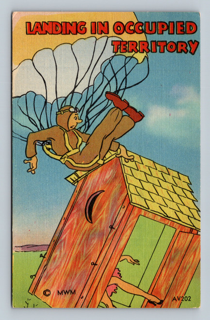Landing in occupied territory postcard image