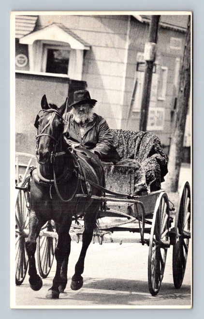 Rugged old Amishman riding out of the past in Kalona Iowa