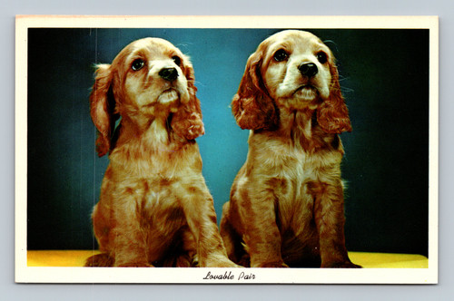 Louable Pair art postcard by R ART-CREATION