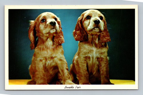 Louable Pair colorful illustration postcard by CURTEICHCOLOR