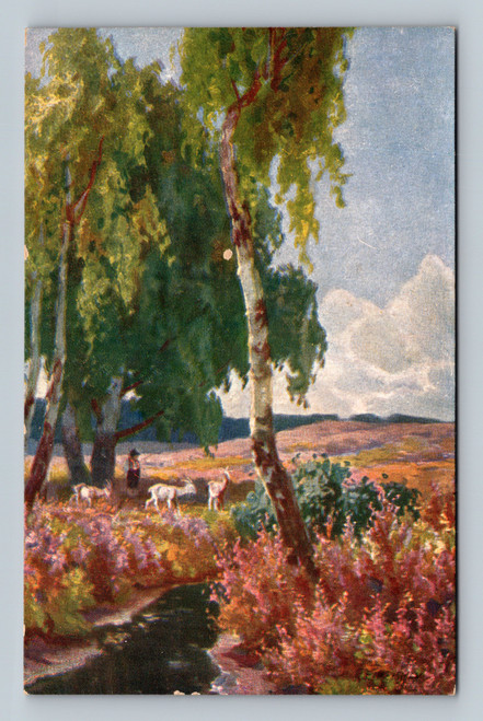 Vintage printed postcard from Germany with no identified subject