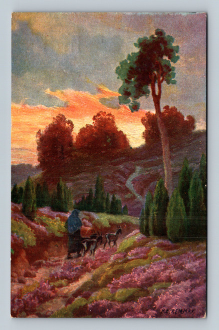 Unknown subject postcard printed in Bermary