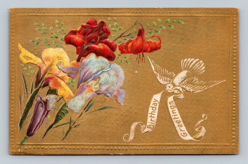 Antique embossed Birthday Greetings postcard with iris flowers and dove on gold background