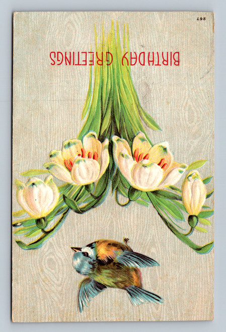 Vintage birthday greetings postcard from the United States