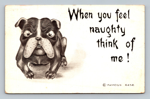 Dog-Gone-Cat Series postcard with playful message by F. A. Moss