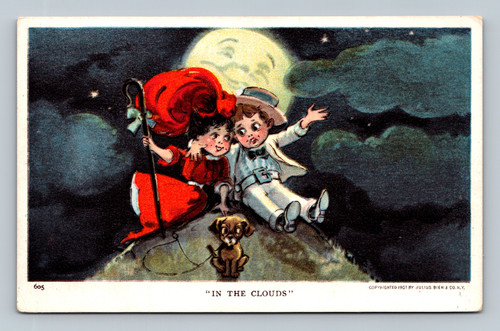 IN THE CLOUDS scenic or aerial postcard by Julius Bien & Company N. Y.